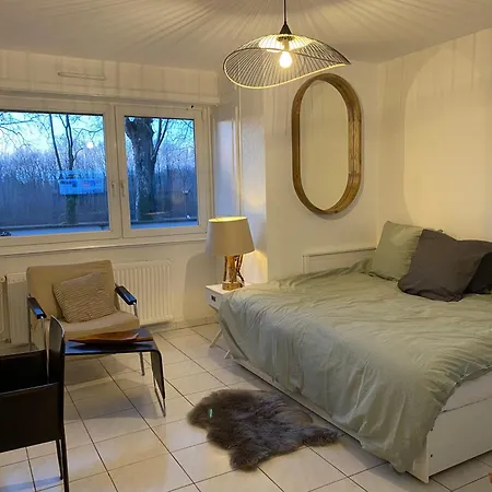 Cosy Illkirch Apartament